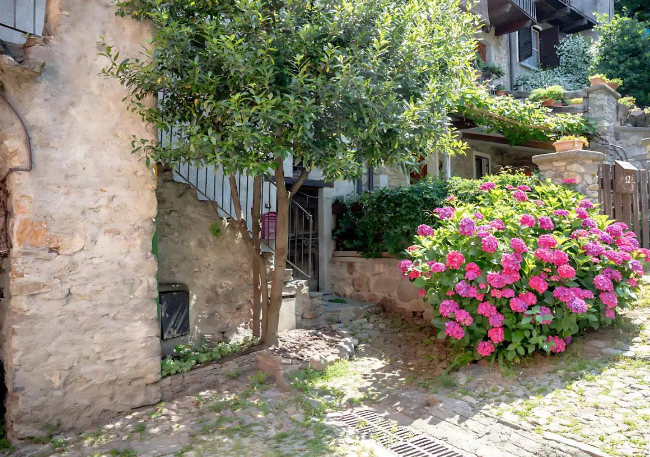Casa Del Borgo: Appartamento Immerso Nel Verde A/C Bellano Exterior photo